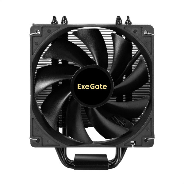 295004_2