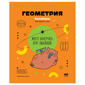 Тетрадь предметная 40л. BG "Записки школьника" - Геометрия , эконом, ТПск40 12823