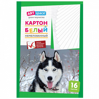 Картон белый А4, ArtSpace, 16л., немелованный, в папке, Нкн16б_6962 / 220683