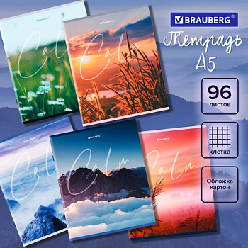 Тетрадь А5 96 л. BRAUBERG скоба, клетка, "Calm", 404435