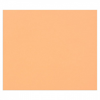 Цветная бумага 500*650мм, Clairefontaine "Tulipe", 25л., 160г/м2, лососевый, легкое зерно, 960187C