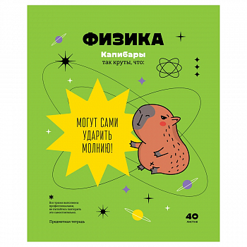 Тетрадь предметная 40л. BG "Записки школьника" - Физика, эконом, ТПск40 12818