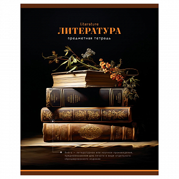 Тетрадь предметная 40л. BG "Фотосфера" - Литература, эконом, ТПск40 12831